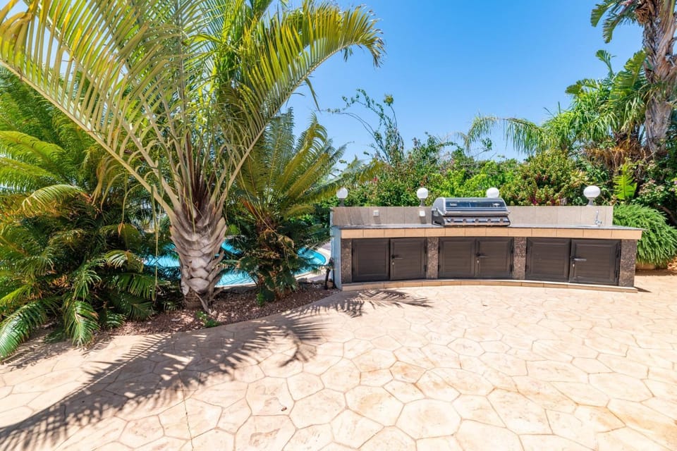 Patio, Garden, Garden view