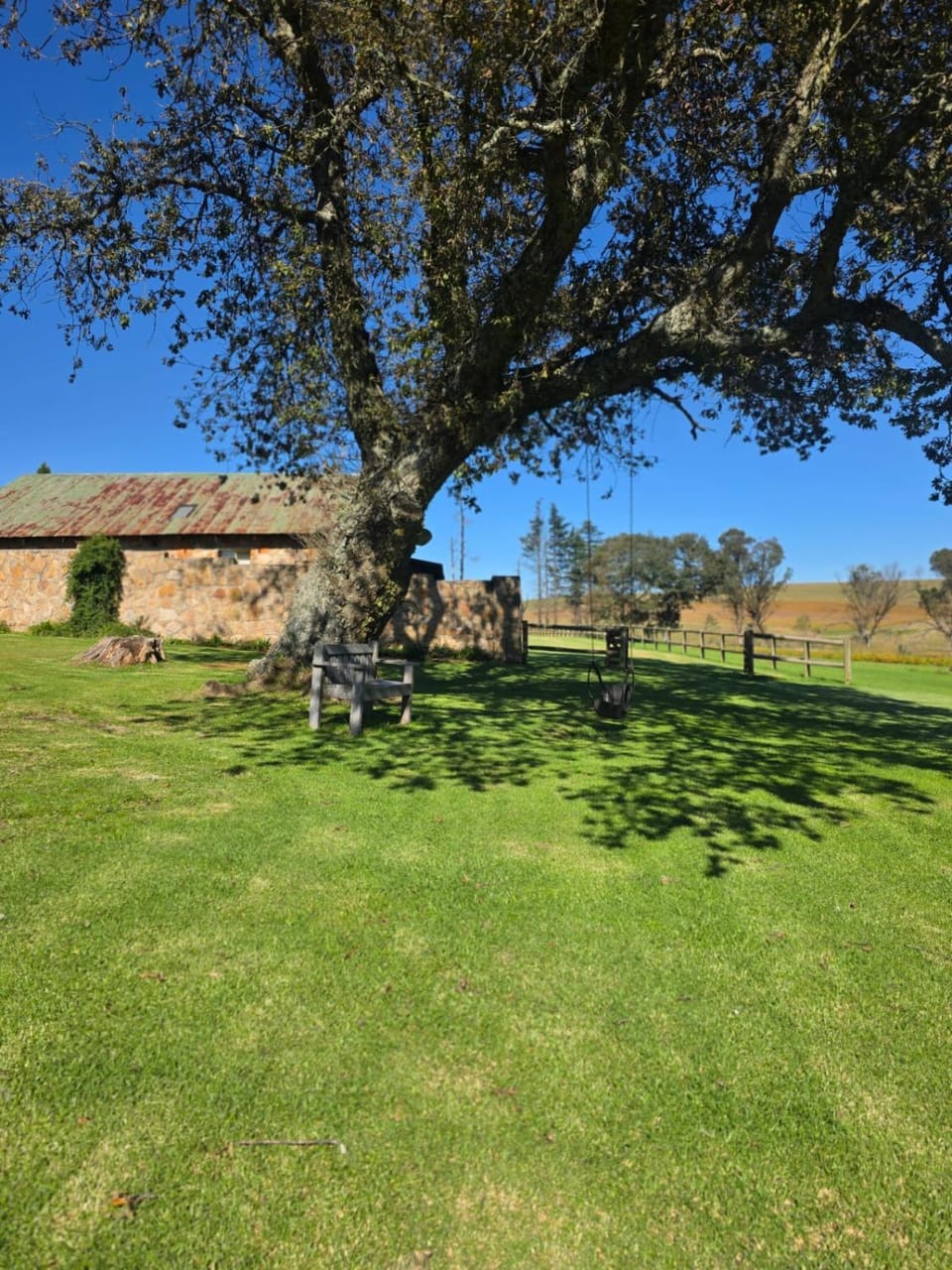 Treeferns Trout Lodge Nature lodge in South Africa