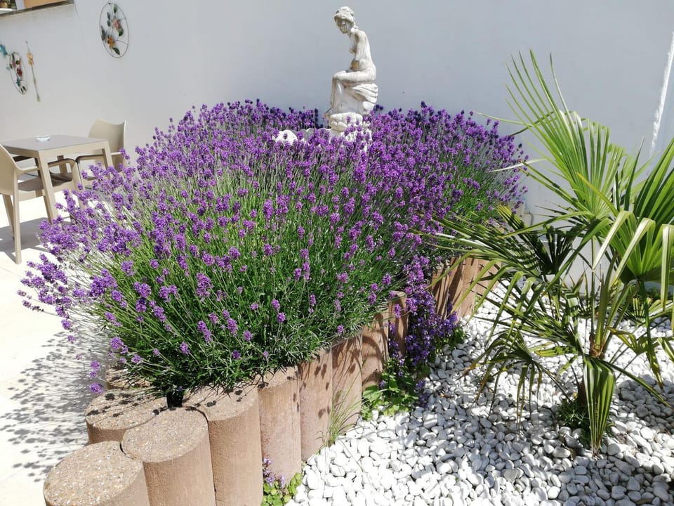 Kokodor Bed and Breakfast in De Haan