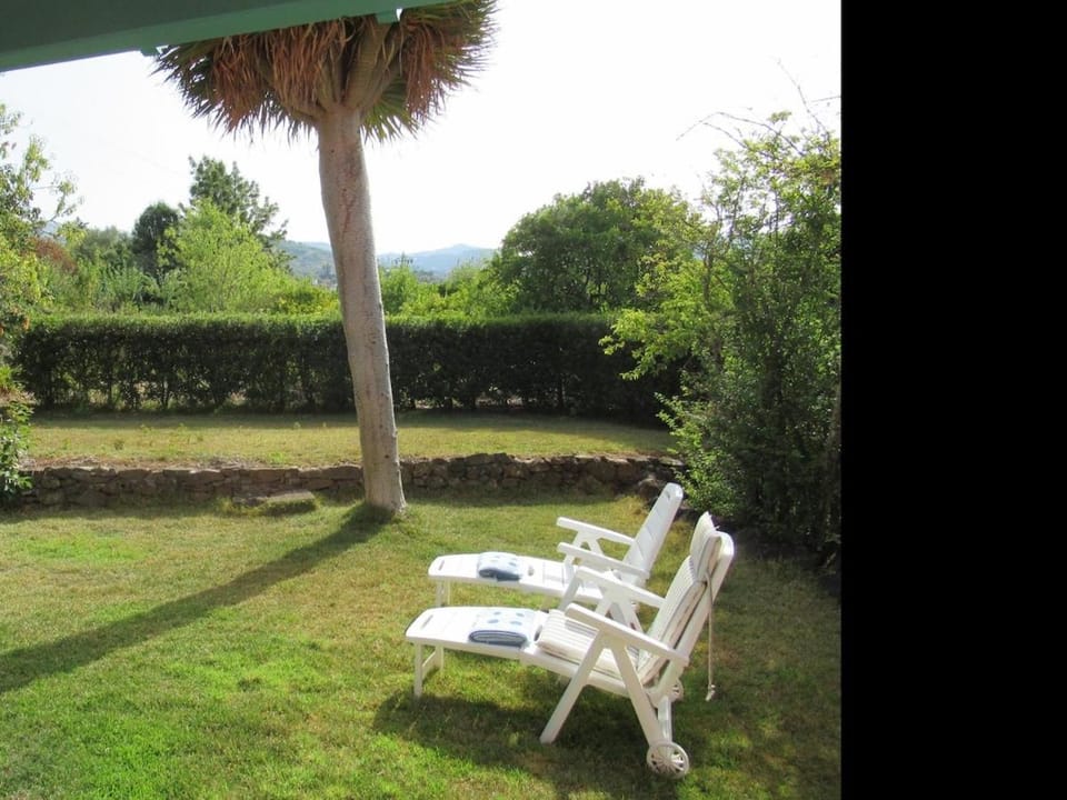 Garden, sunbed, towels