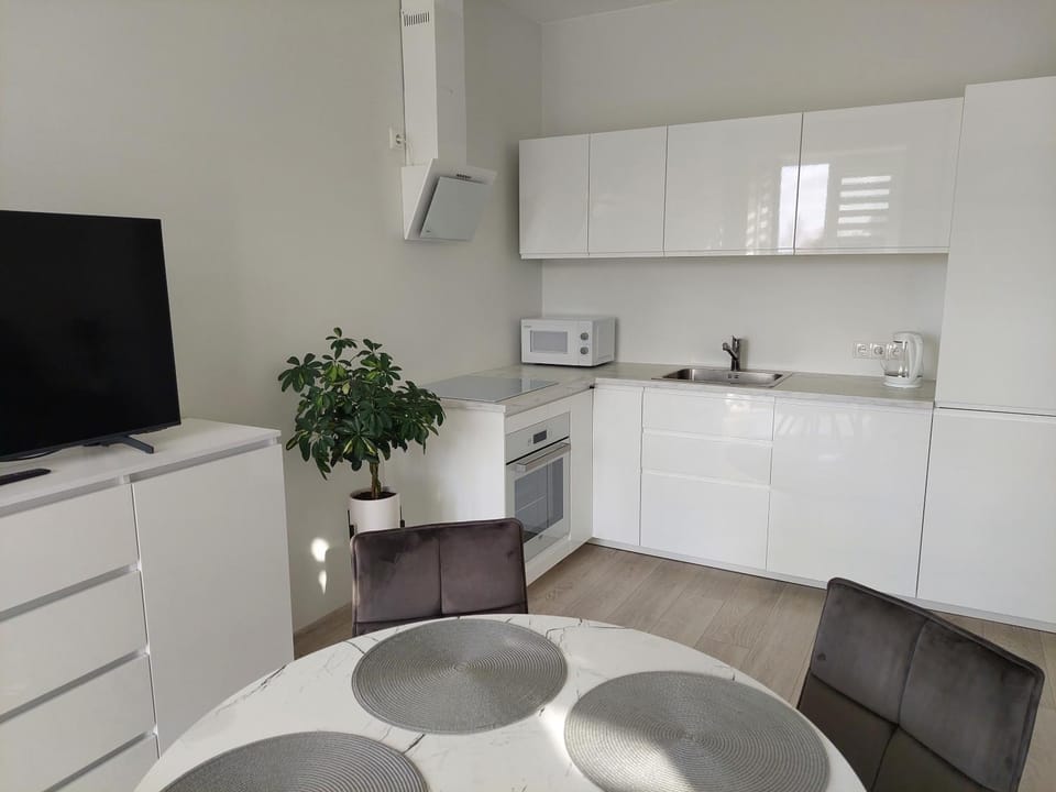 Pilkų atspalvių apartamentai Apartment in Klaipėda County, Lithuania