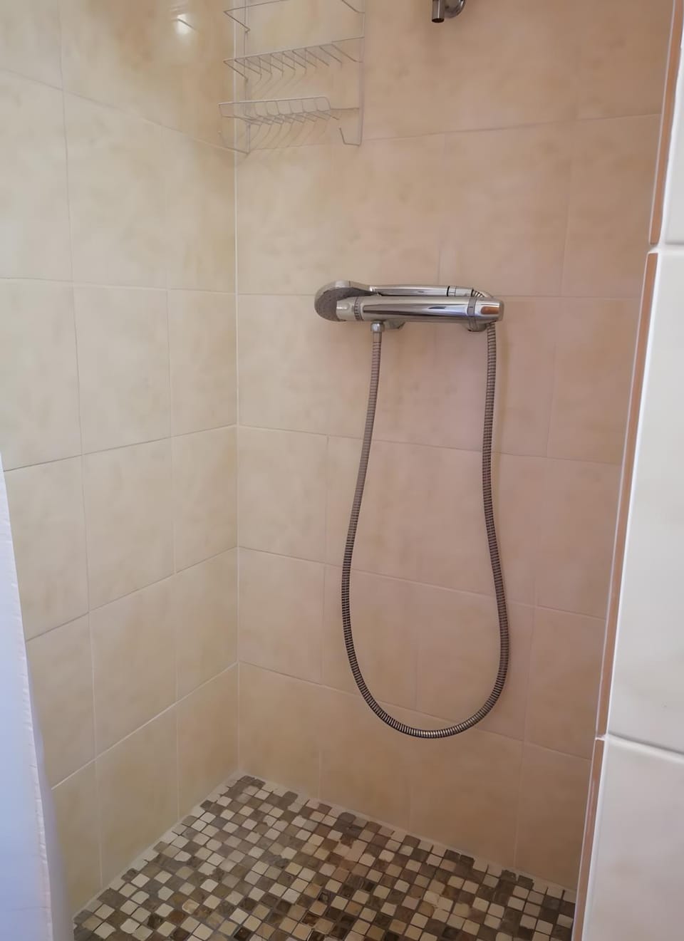 Bathroom, Living room