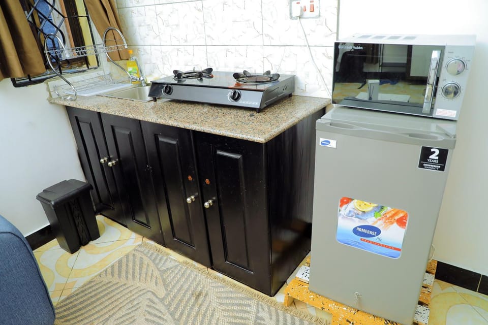 Lion's Den Studio Apartment near town -A hidden Gem Apartment in Tanzania
