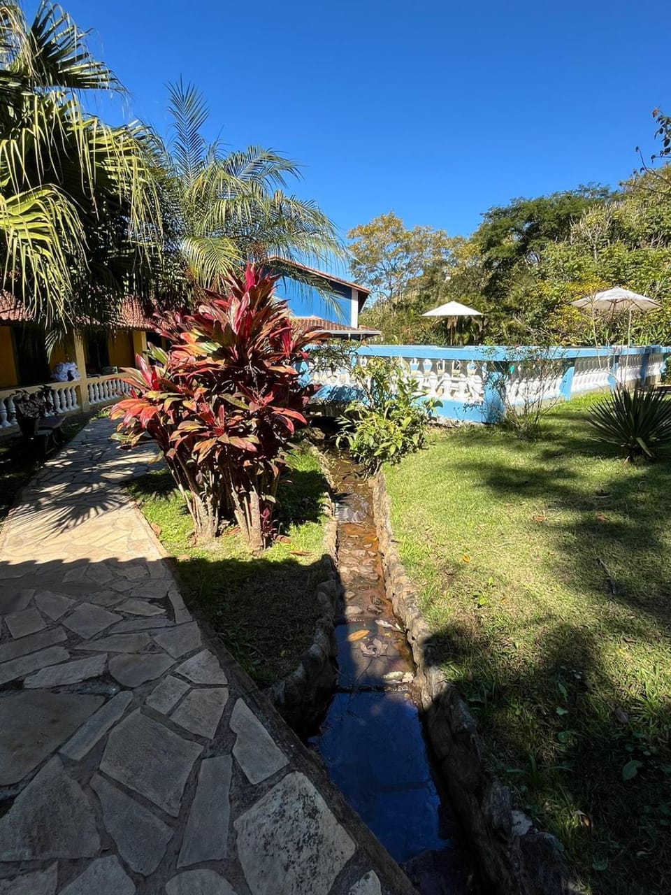 Natural landscape, Garden, Garden view, Pool view, Swimming pool