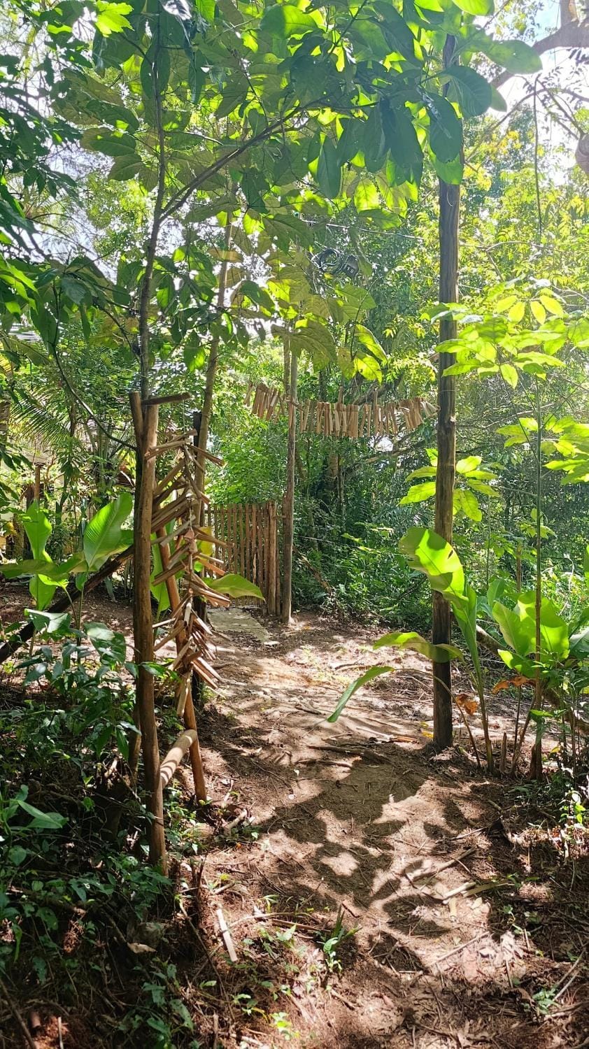 House in the Trees Chalet in State of Bahia