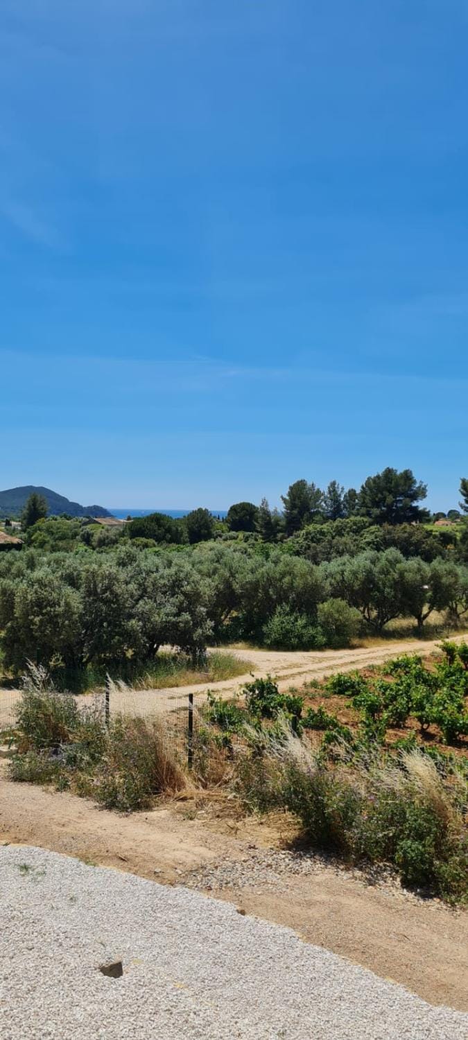 Natural landscape