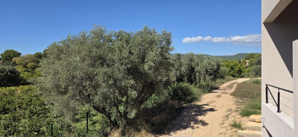 Natural landscape