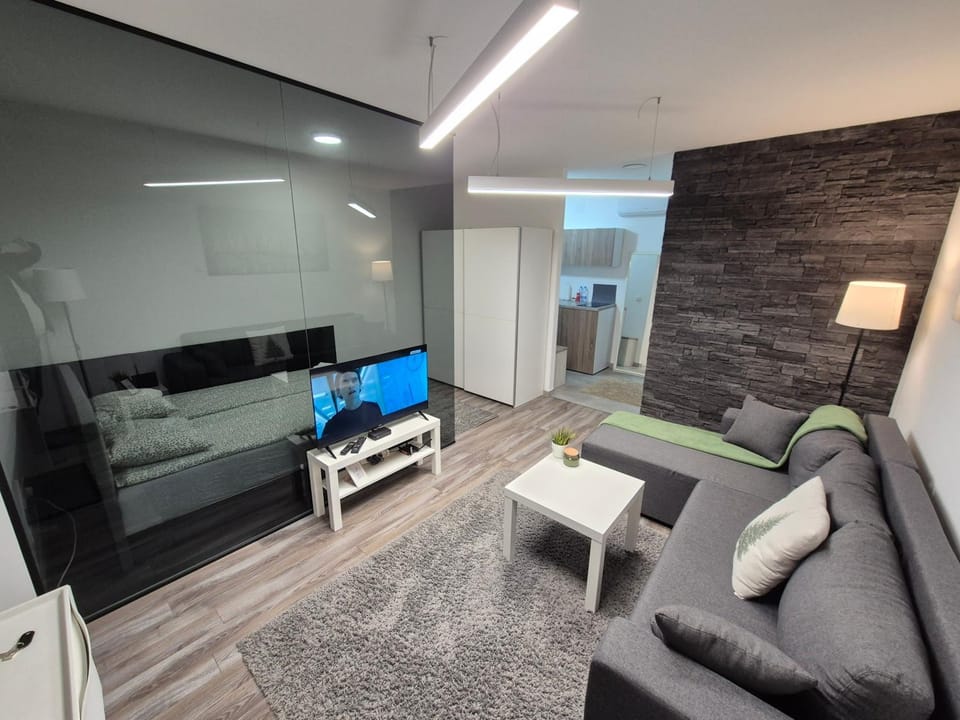 Studio Apartman 47A Apartment in Serbia