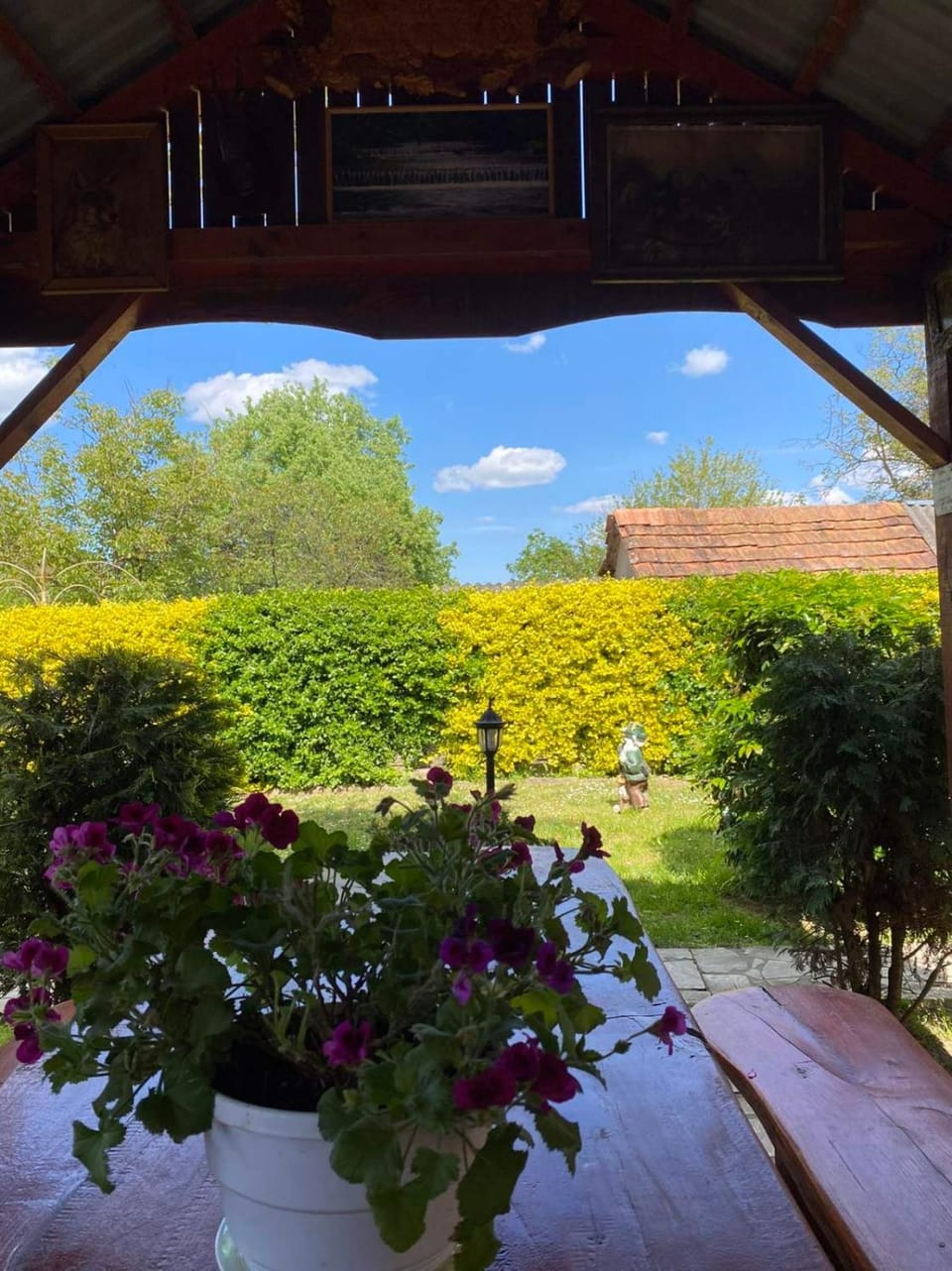 Spring, Day, Garden, Garden