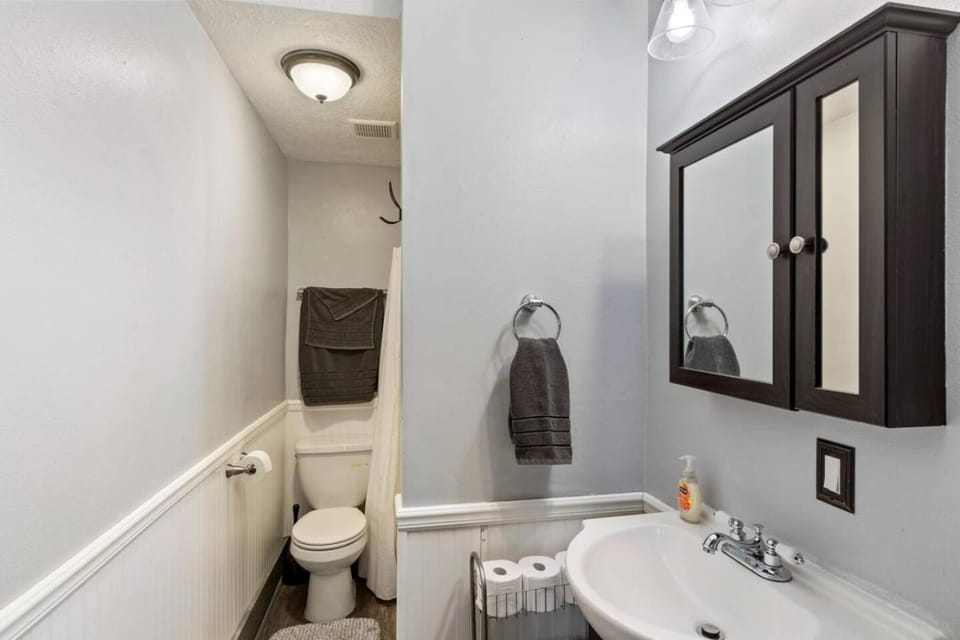 Shower, Toilet, Bathroom, Bath, towels