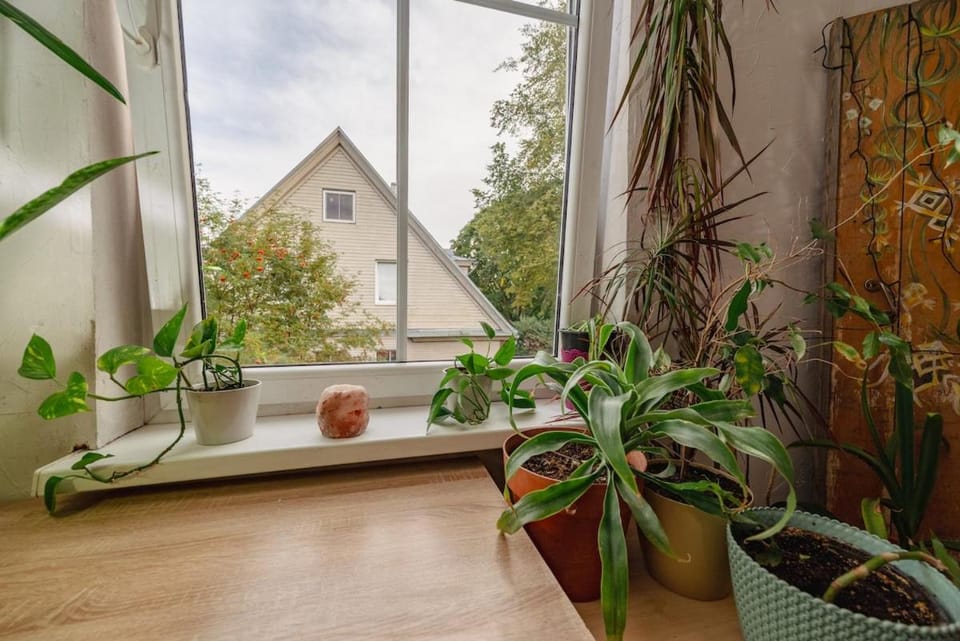 Urban Jungle 10min Walk to Old Town Apartment in Tallinn