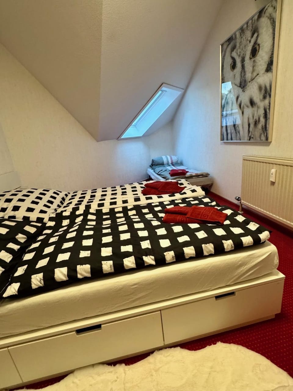 Bed, Photo of the whole room, Bedroom
