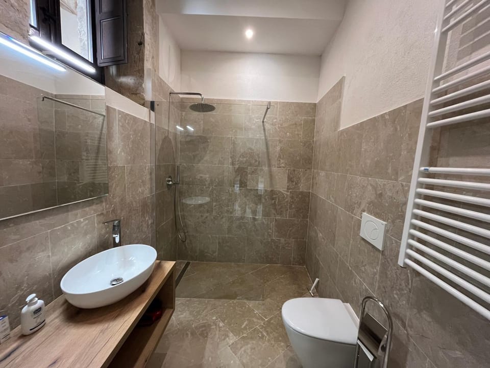 Shower, Toilet, Bathroom, bidet