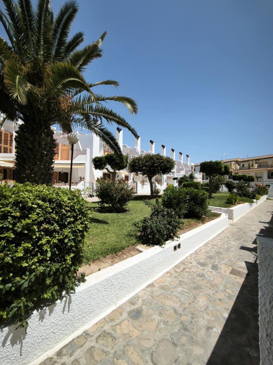 Garden, Garden, Garden view