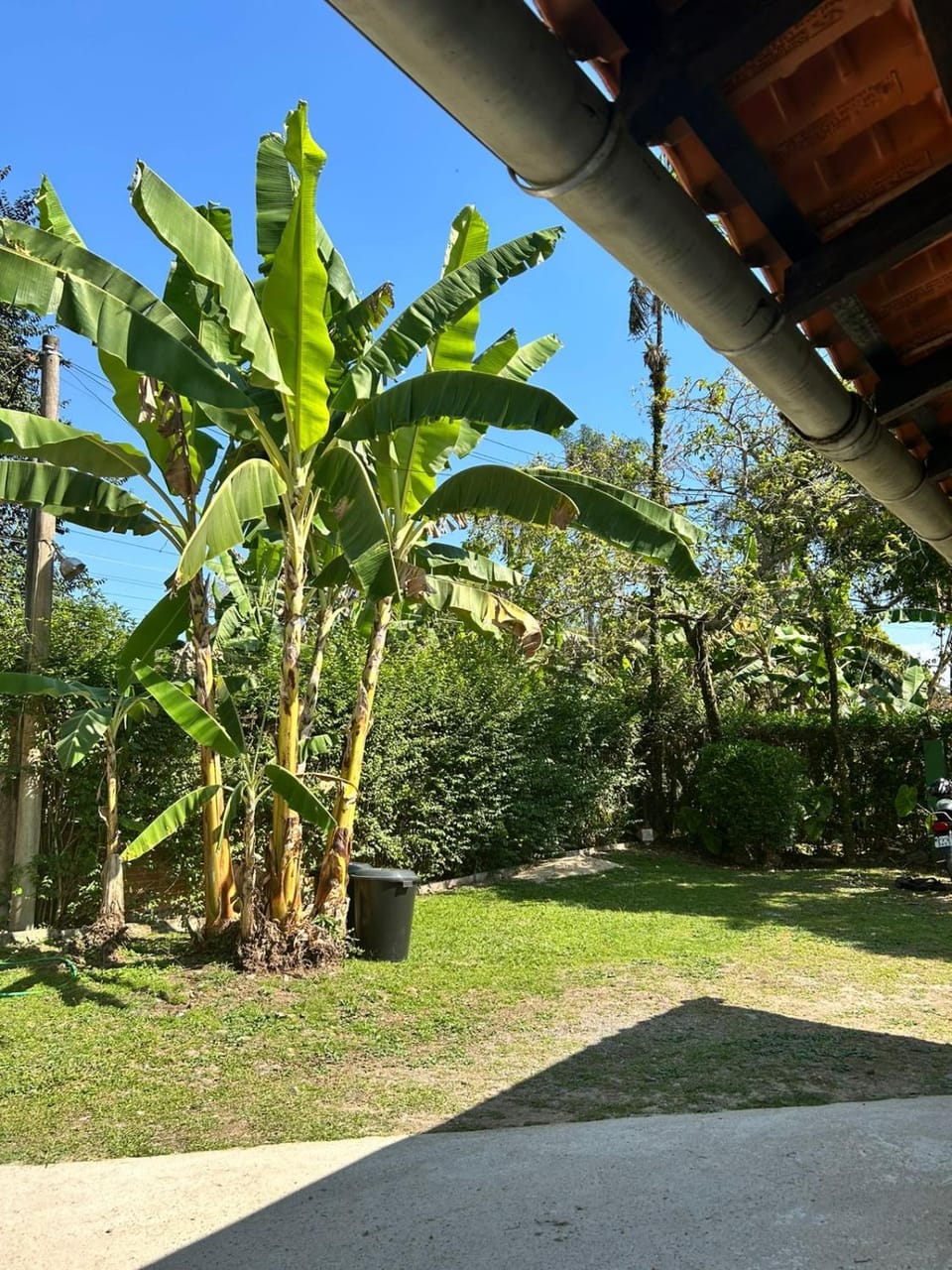 Property building, Garden