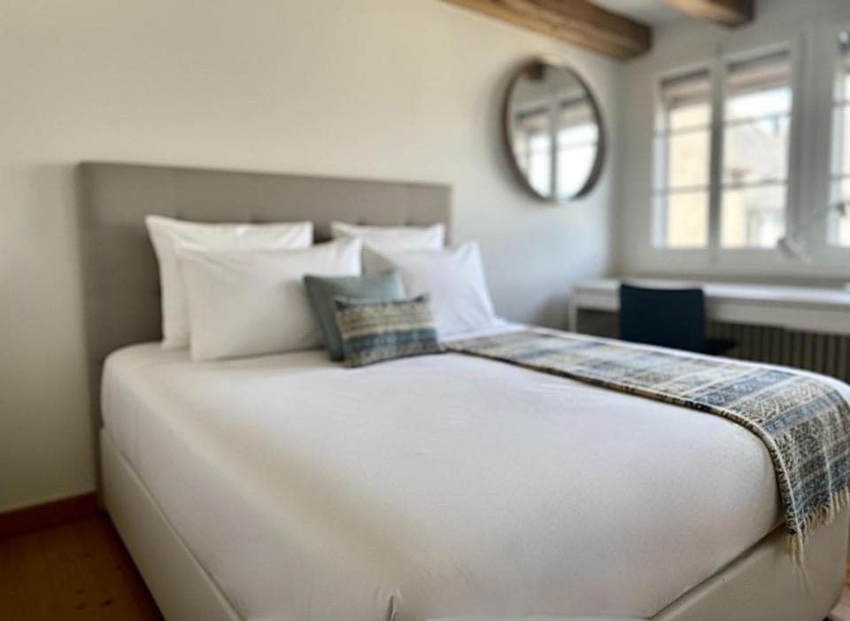 Appartement Centre Ville Apartment in Geneva