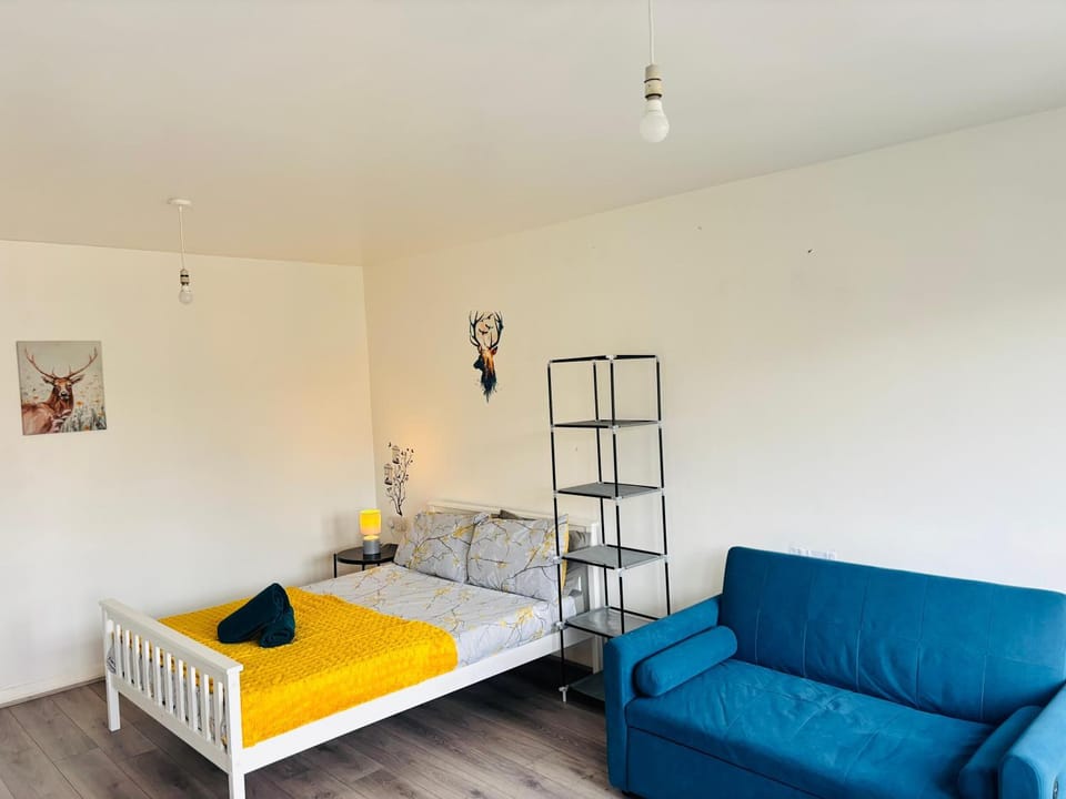 Bed, Photo of the whole room, Bedroom