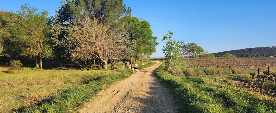 Off site, Natural landscape, Hiking, Cycling