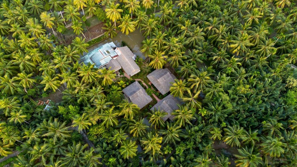 Natural landscape, Bird's eye view, Garden view