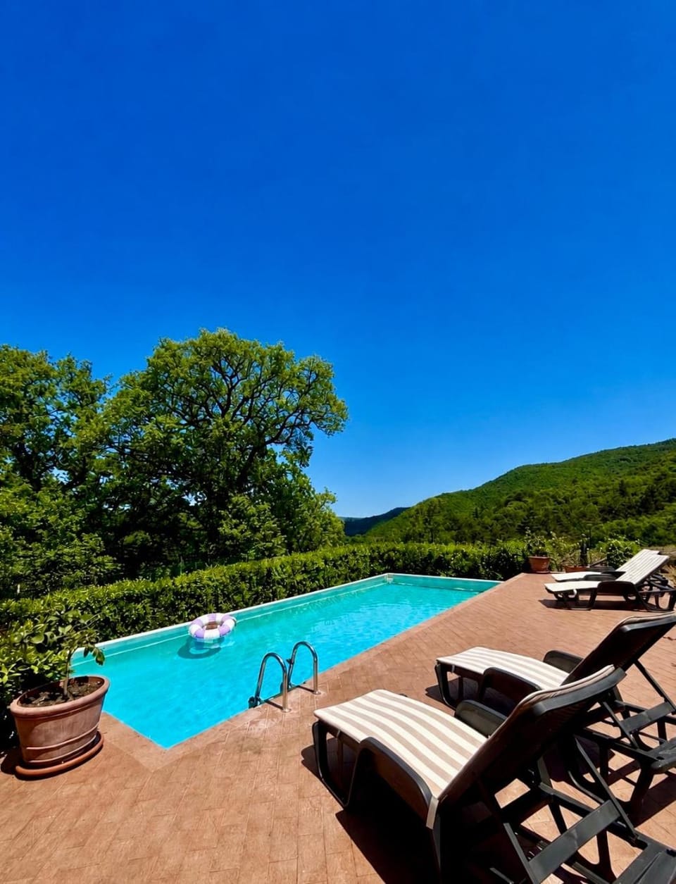 Spring, Day, Natural landscape, Mountain view, Pool view, Swimming pool, sunbed