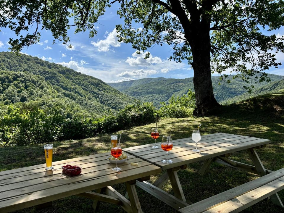 Spring, Day, Natural landscape, Dining area, Mountain view