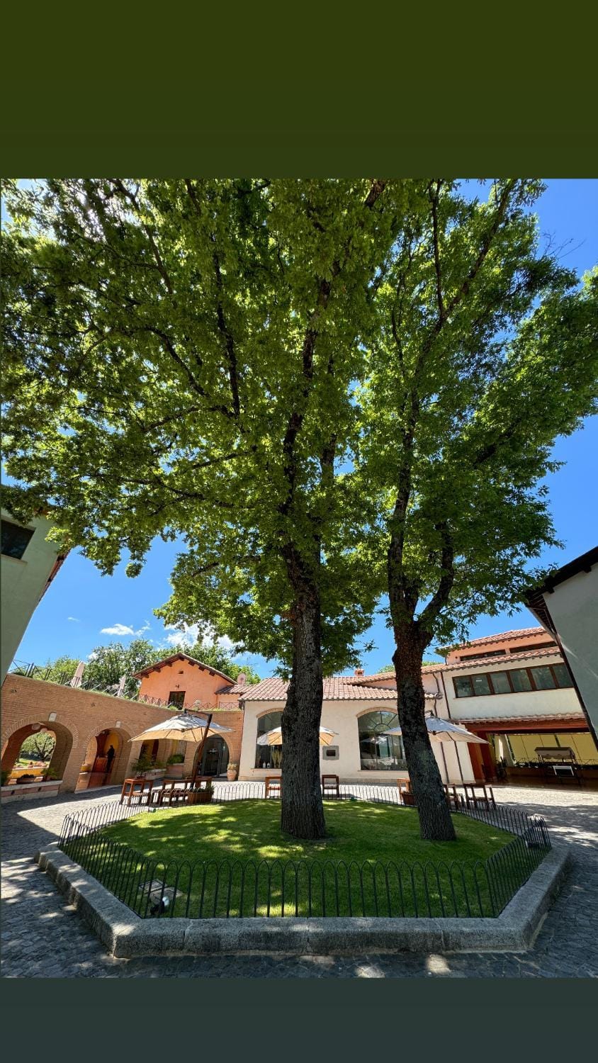Inner courtyard view