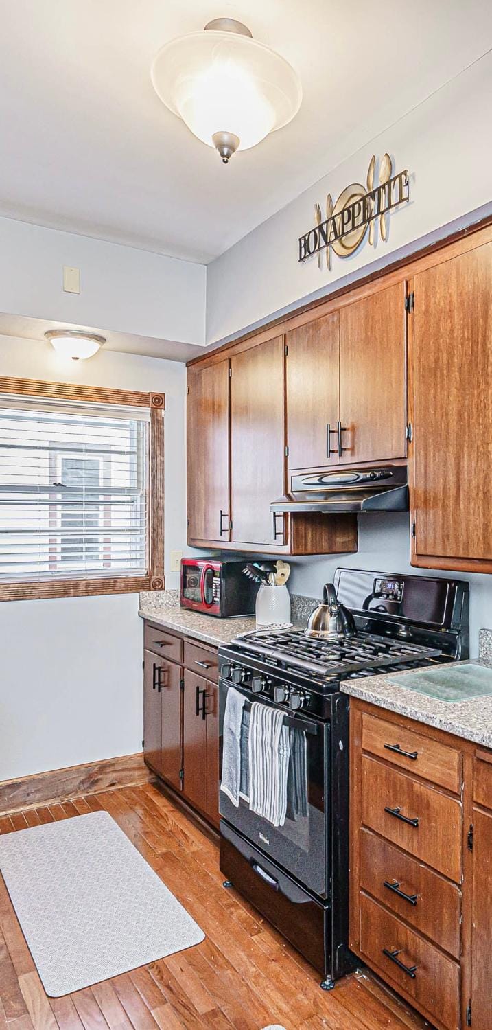 Kitchen or kitchenette, dishwasher, stove