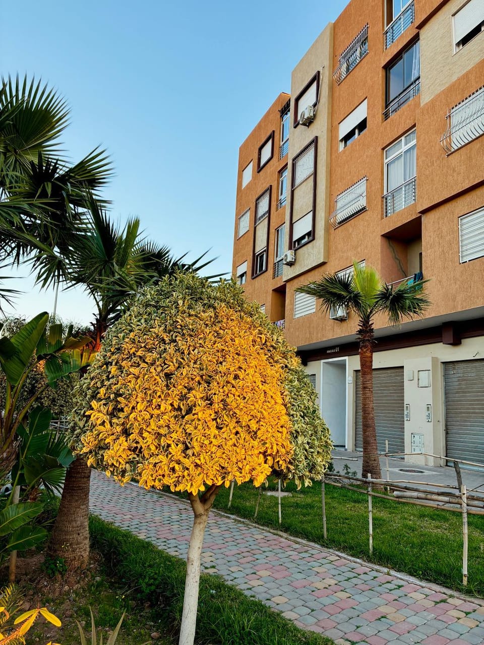 Property building