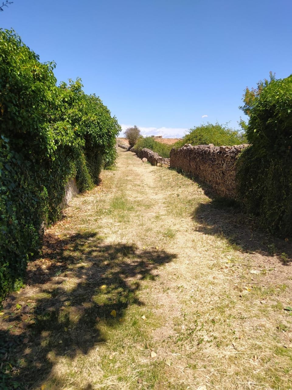 Alojamiento Rural La Arboleda House in Aragon