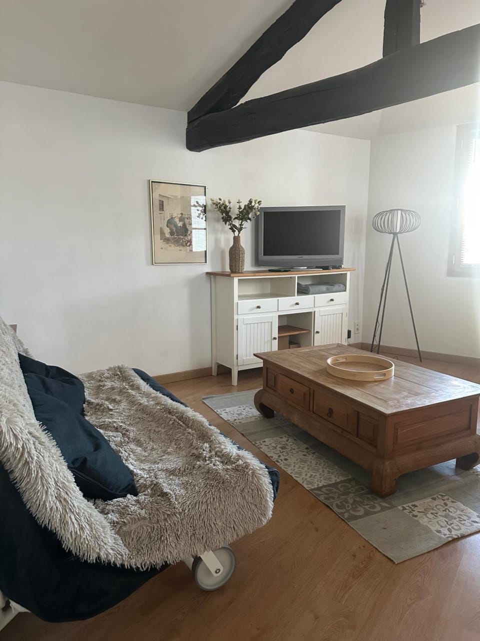 Petit Patapon - T2 Hyper Centre Apartment in Albi