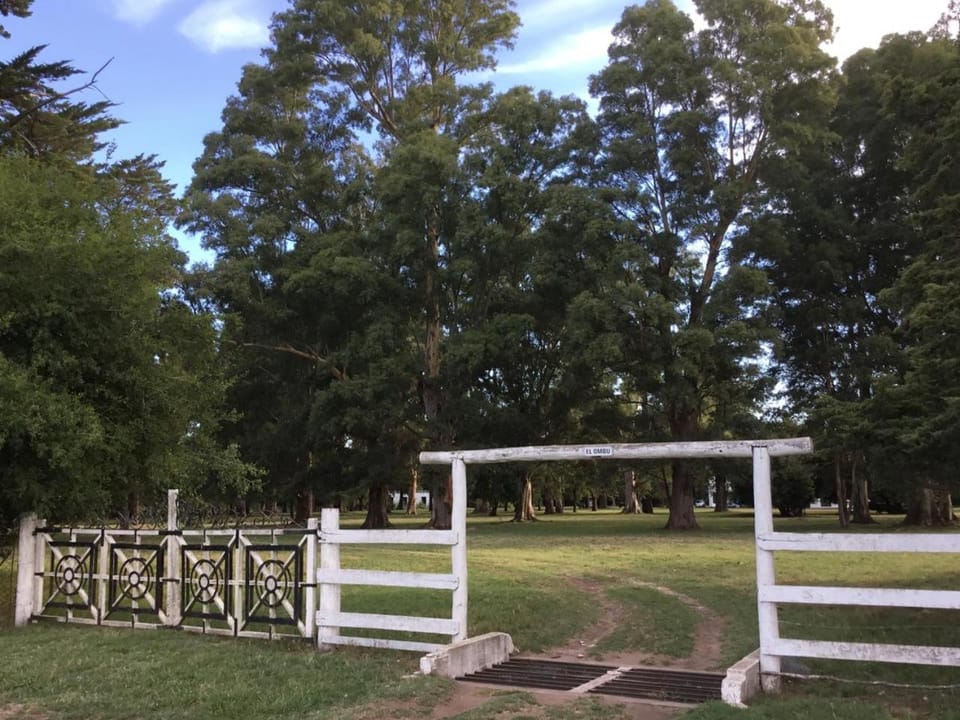 Natural landscape, Garden