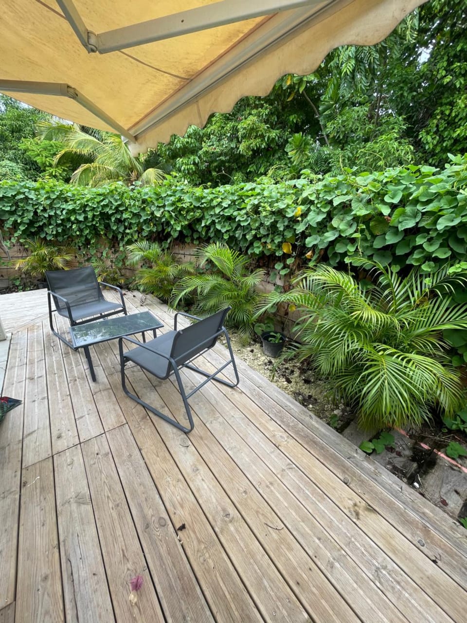 Garden view