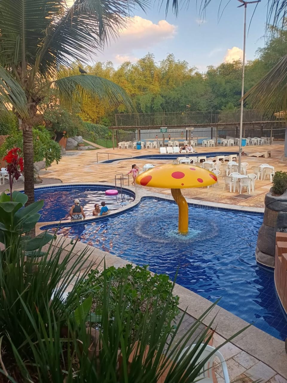 Swimming pool