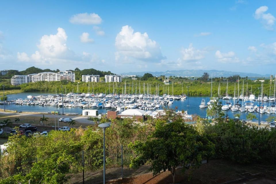 Horizon Secret Apartment, with pool Apartment in Fort-de-France