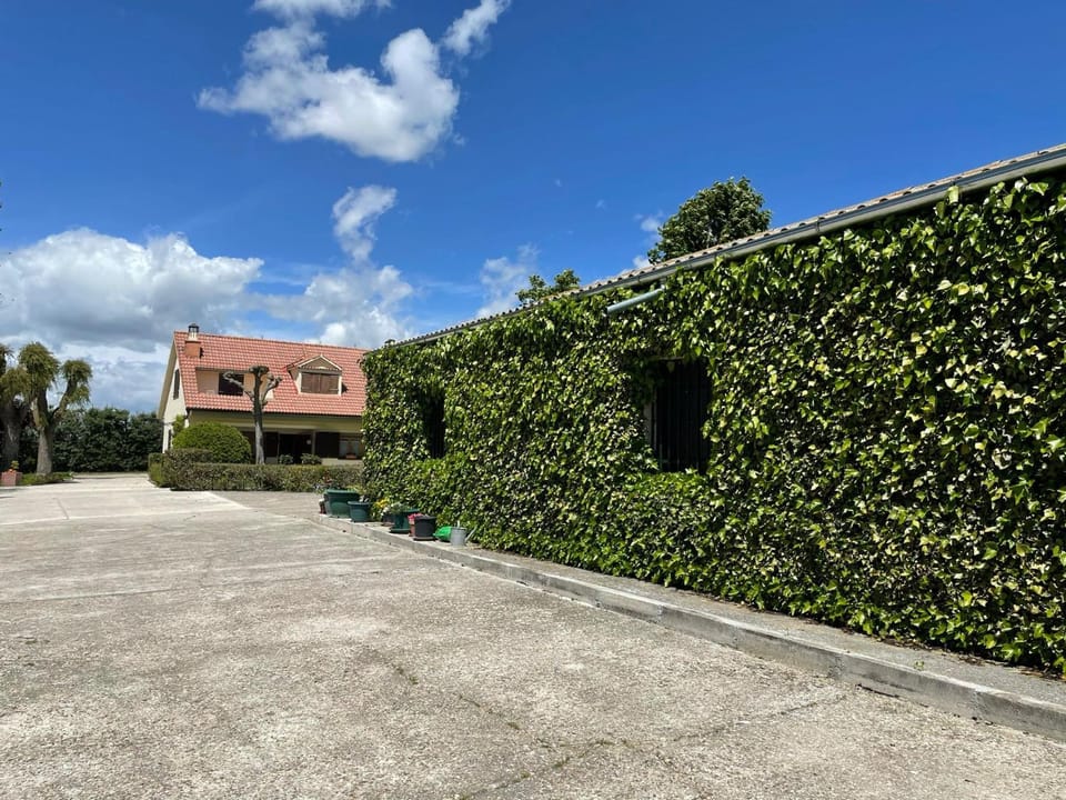 Property building, Garden