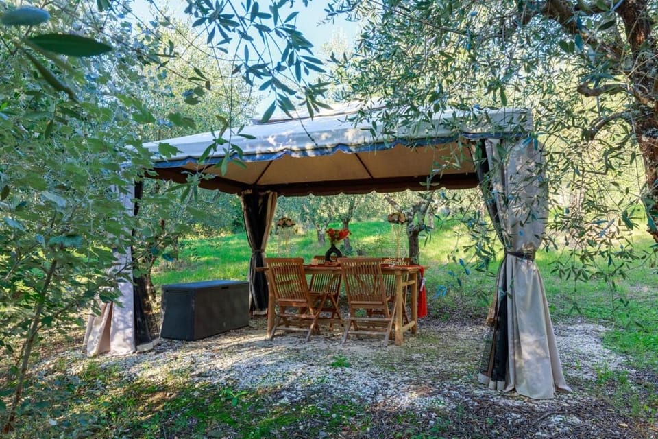 Garden, Garden view