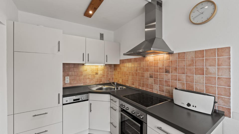 Kitchen or kitchenette, dishwasher, stove, toaster