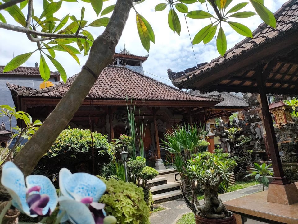 Day, Garden, Garden view