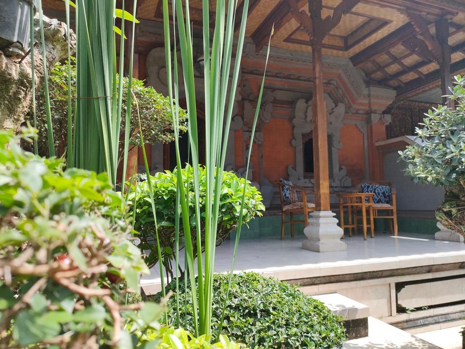 Day, Garden, Garden view