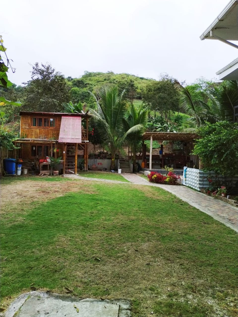 Garden view