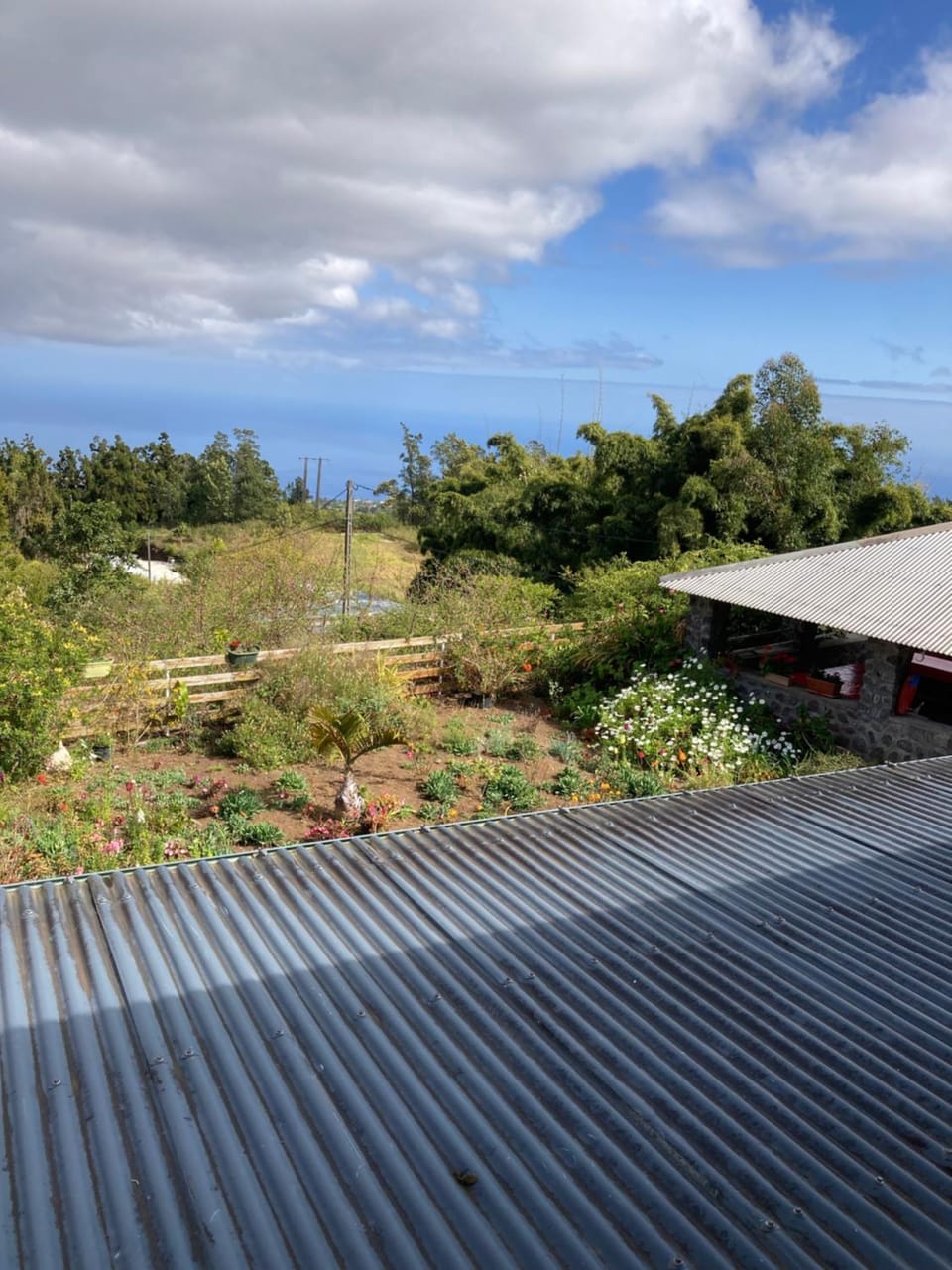 Garden view