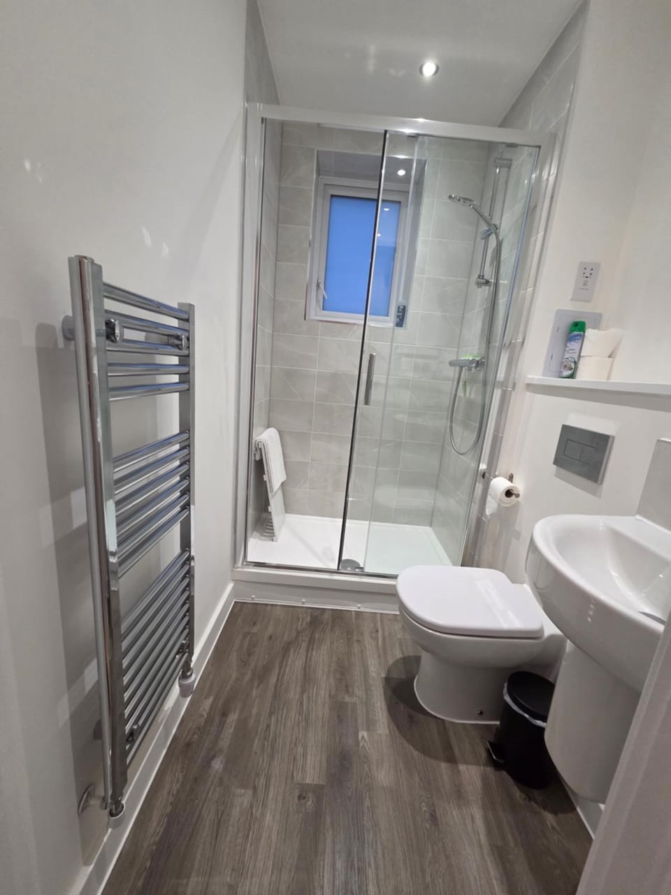 Shower, Toilet, towels