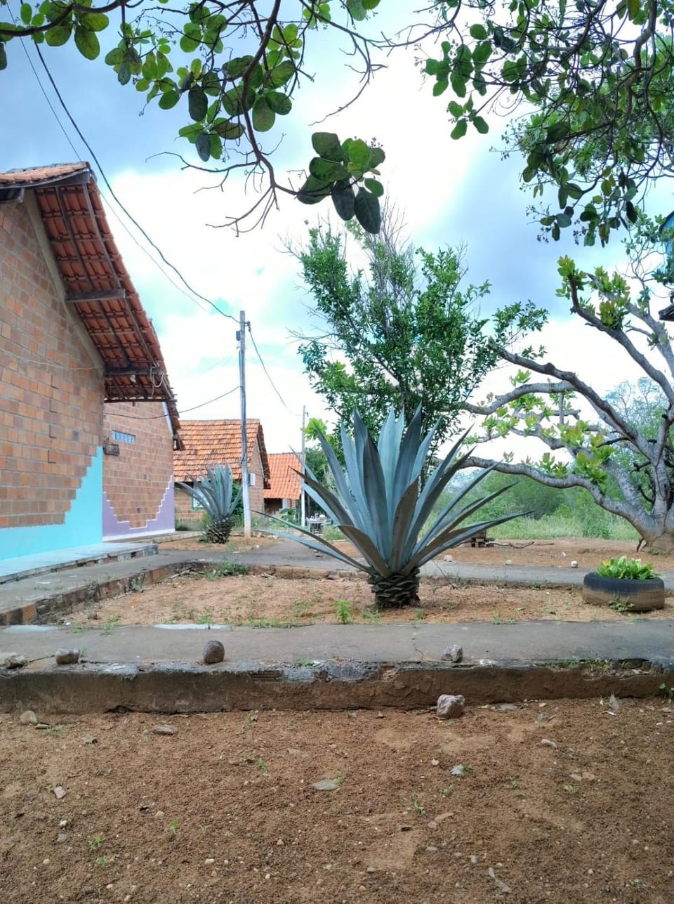Garden view