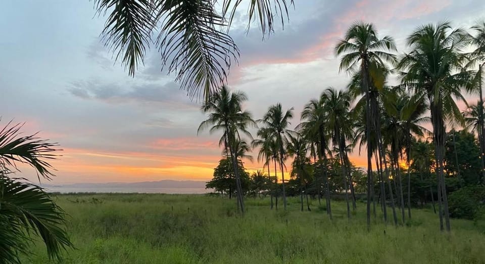 Natural landscape, Sea view, Sunset