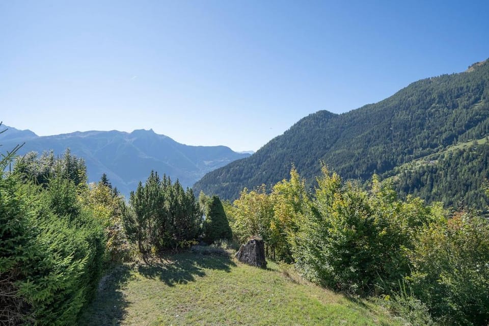 Chalet Panorama Ovronnaz 180 View 2BA 10 pax Chalet in Canton of Vaud