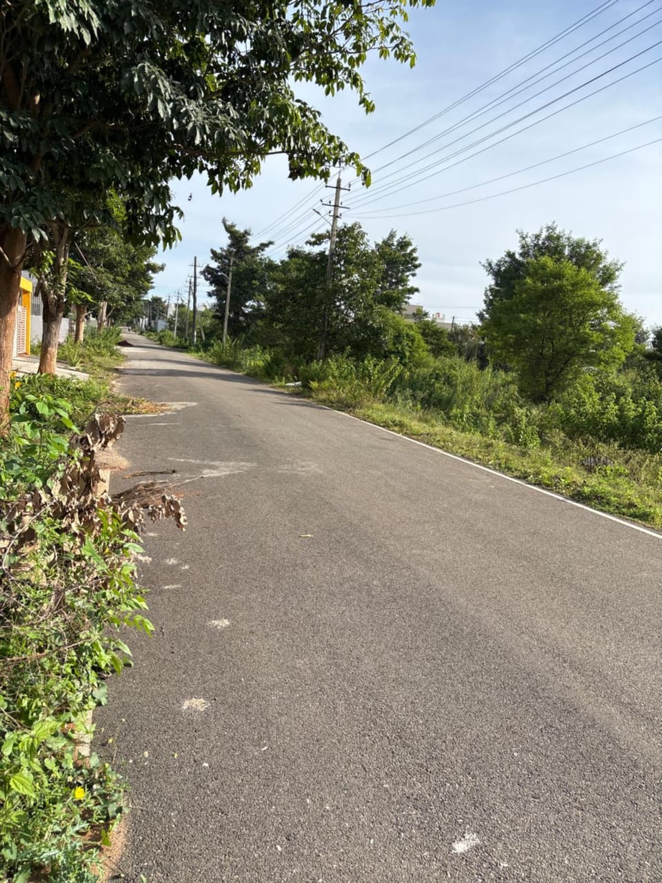 Quiet street view
