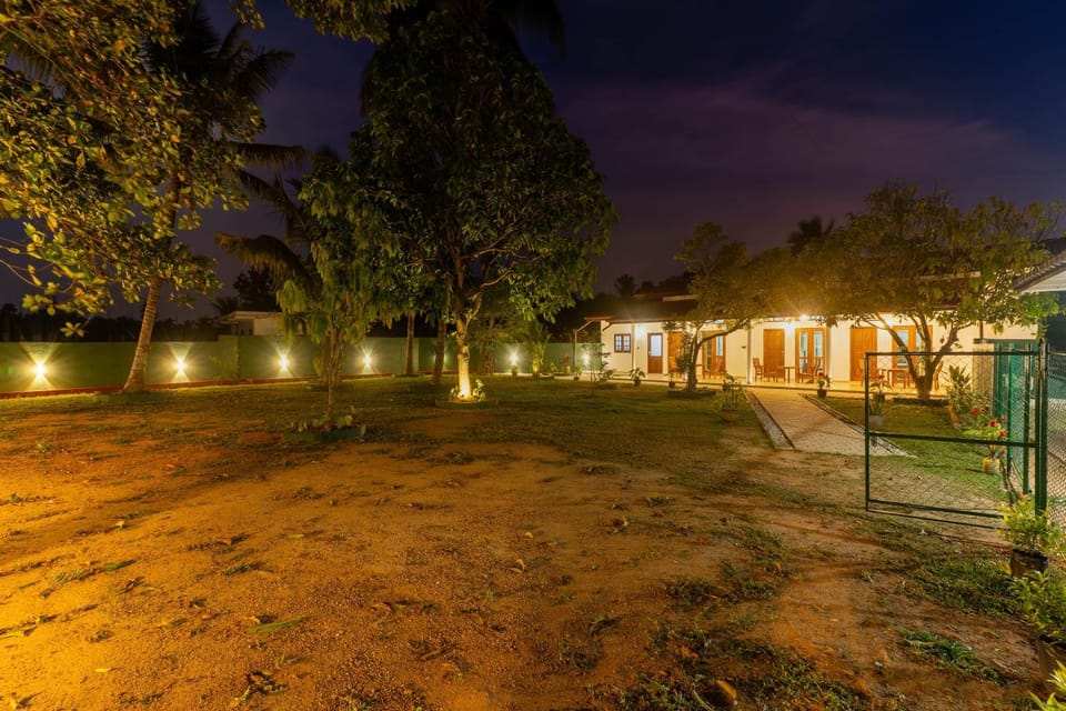 Property building, Night, Natural landscape, Garden, Garden view