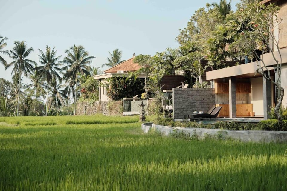 Natural landscape, Garden view