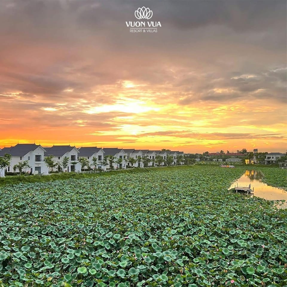 Đế Liên 04 Villa- Vườn Vua Resort Phú Thọ Campground/ 
RV Resort in Vietnam
