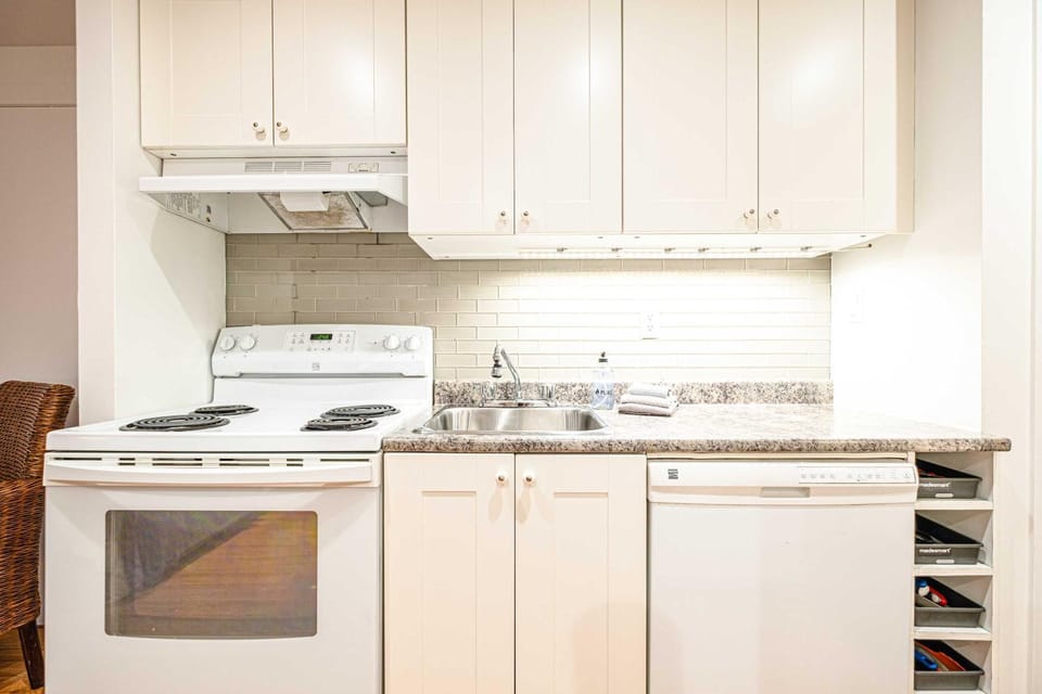 Kitchen or kitchenette, dishwasher, oven, stove
